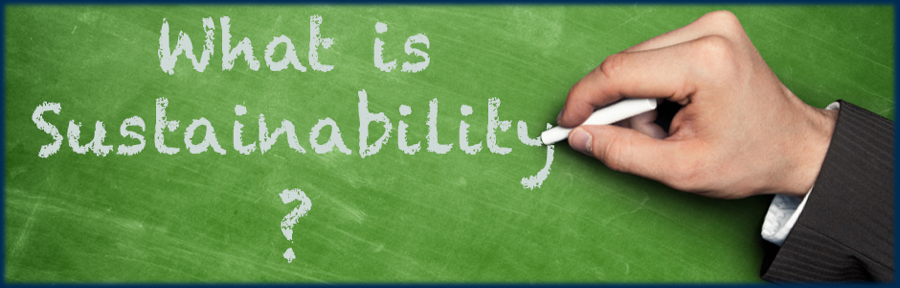 Sustainability as Relevance